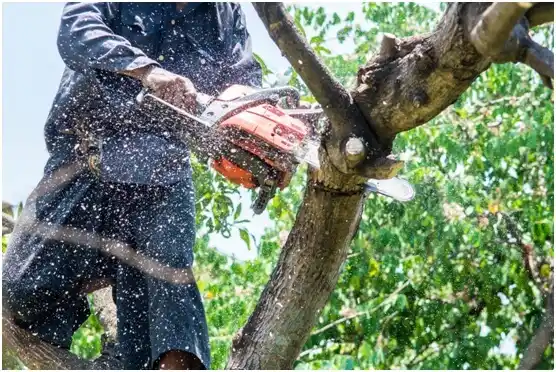 tree services Goldendale